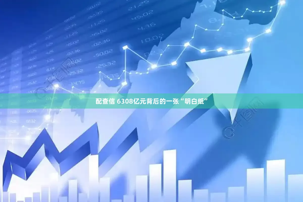 配查信 6308亿元背后的一张“明白纸”
